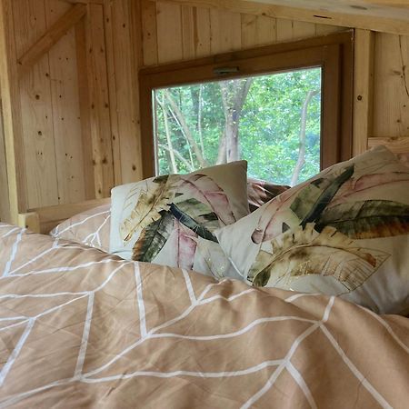 Tiny Resort Chotevice 1 Kottwitz المظهر الخارجي الصورة