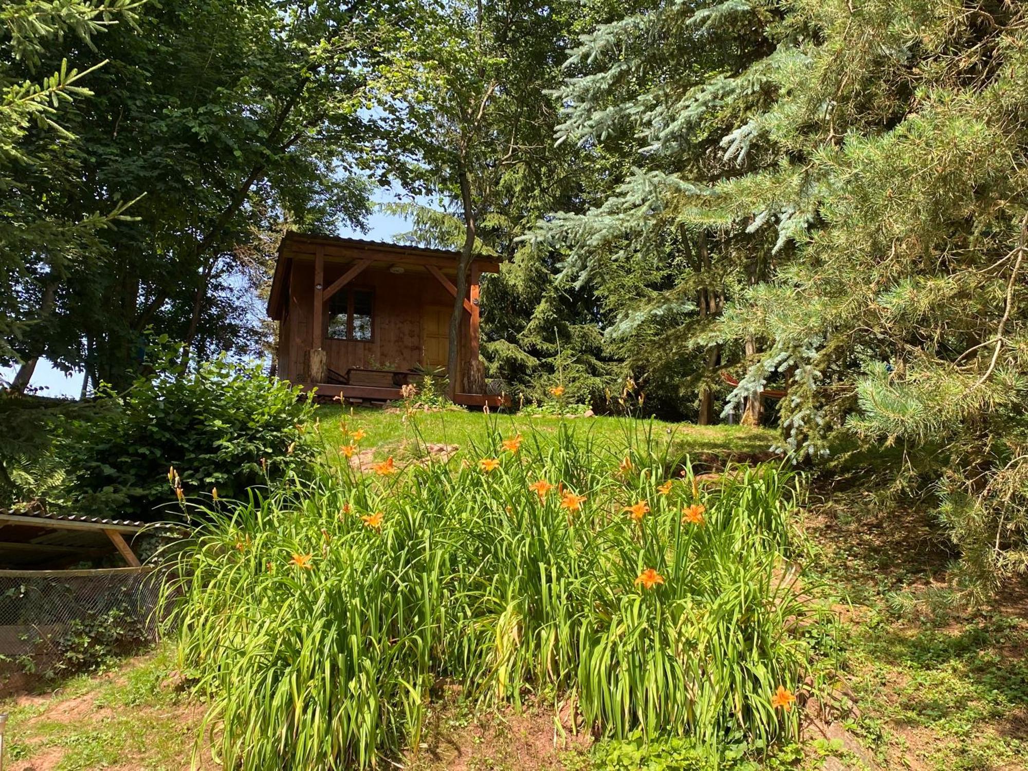 Tiny Resort Chotevice 1 Kottwitz المظهر الخارجي الصورة